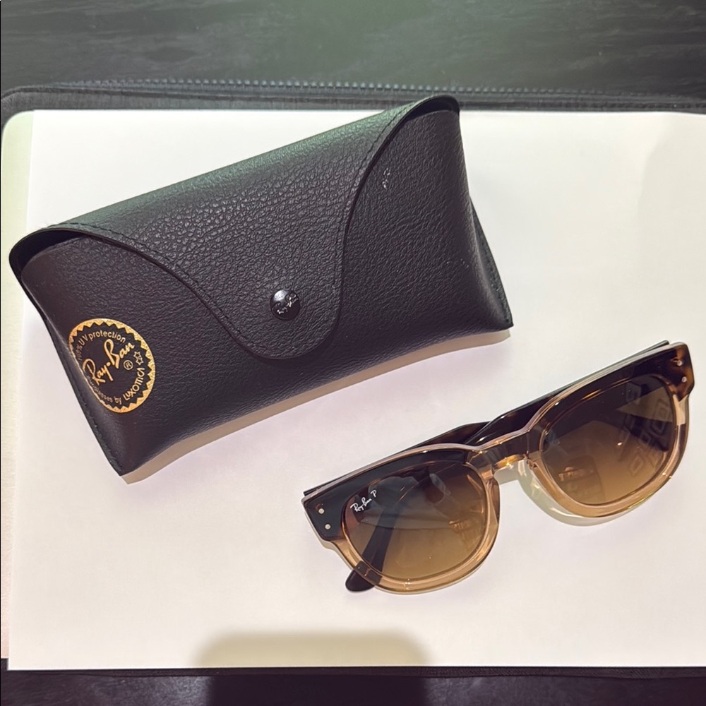 Ray-Ban Black and Brown Sunglasses